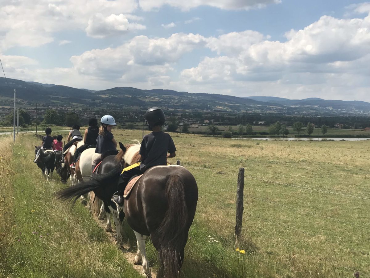 stage equitation