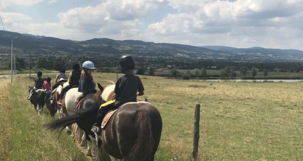 stage equitation